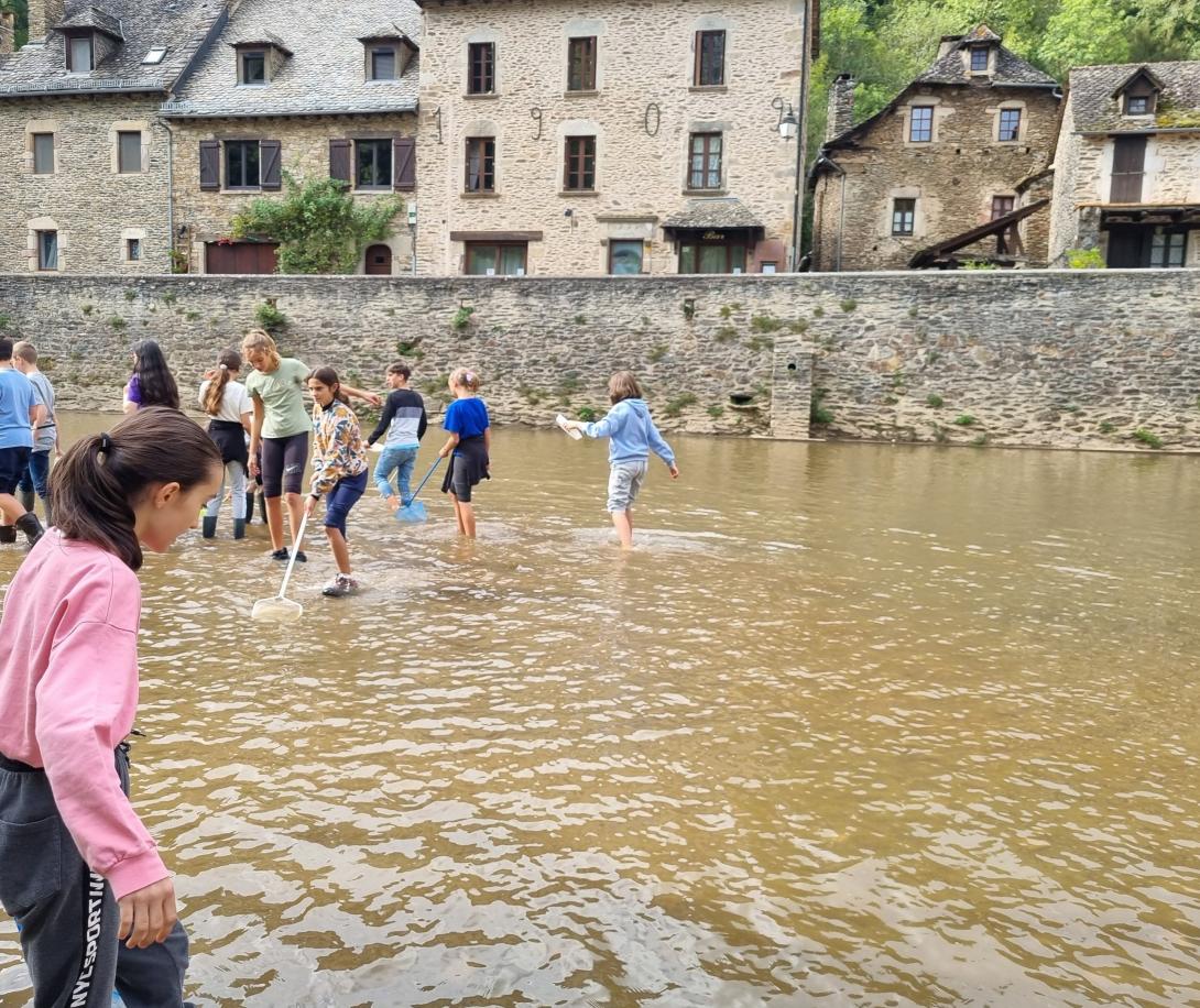 Les naturalistes en herbe ont pris goût à la pêche aux petites bêtes 